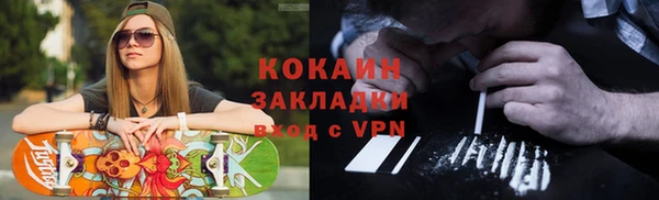 хмурый Аркадак