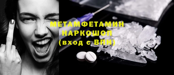 хмурый Аркадак