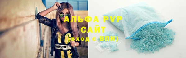 хмурый Аркадак