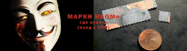хмурый Аркадак