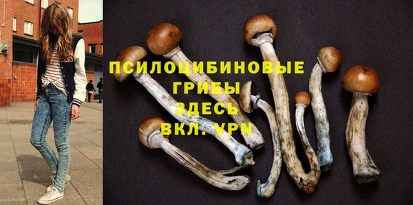 МДПВ Арсеньев