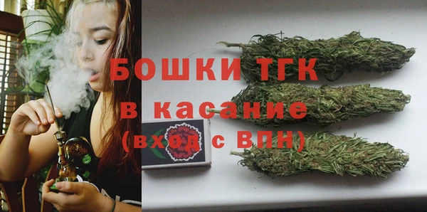 хмурый Аркадак