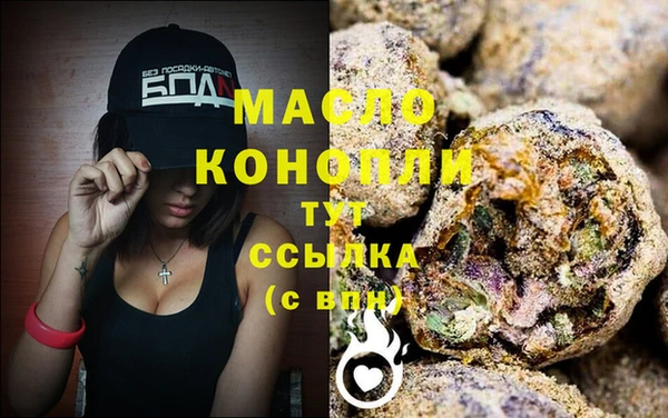 хмурый Аркадак
