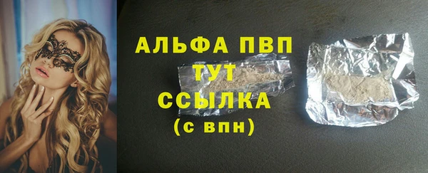 хмурый Аркадак