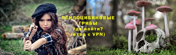 МДПВ Арсеньев