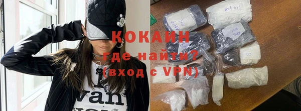 хмурый Аркадак